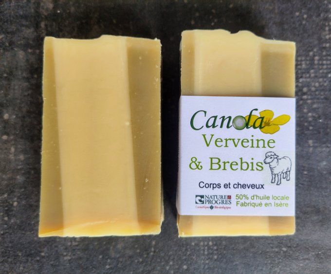 Verveine & Brebis