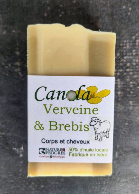 Verveine & Brebis